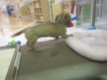 イエーイ٩( ‘ω’ )و