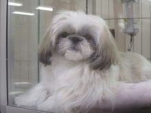 会いに来てー!(๑≧౪≦)