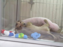 さむーい{{ (>_<) }}