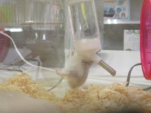 プラ～ン(´∀｀)