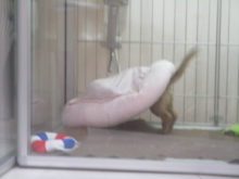 突然に(￣∀￣)三3