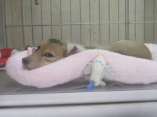 ヒコーキも一緒に(-_-)zzz