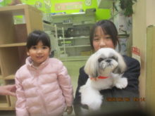 家族が決まりました(*^｡^*)