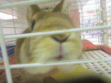 ぬーん( ‘ω’  )