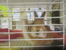 タイミング(｀・ω・´)