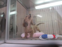 遊べっヾ(´・ω・｀)