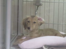 曲がってない??( ﾟｰﾟ)