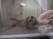 衝撃の１枚(^^;)