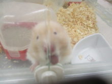 食べたじゃん～(^_^;)