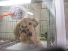 ダッちゃん(・∀・)