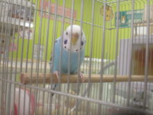 ドキドキ(/ω＼*)