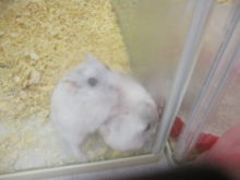 重いんですけど～(^^;)