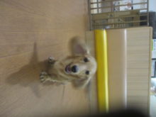 ポカポカ(*´▽｀)ﾉﾉ