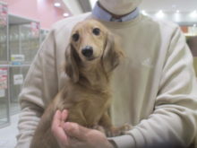 家族が決まりました(^_^)