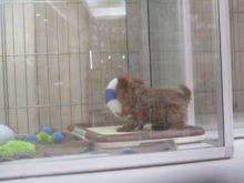 ホワイトデー♡(´ω`) & デビュー☆