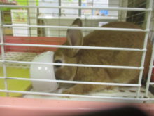 勢いすごすぎ～(°д°)