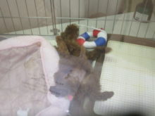 で～ん( ´ ▽ ` )