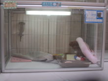 そいじゃっ( ´ ▽ ` )ﾉ