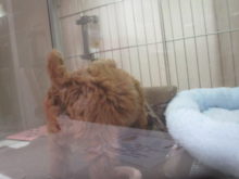 穴があったら入りたい!!( *｀ω´)